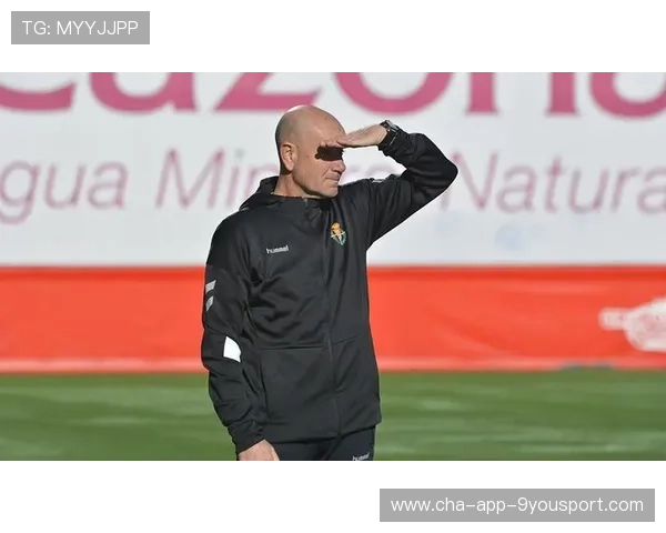 赫塔菲伤停替补深度解析——球队战力背后隐藏的秘密